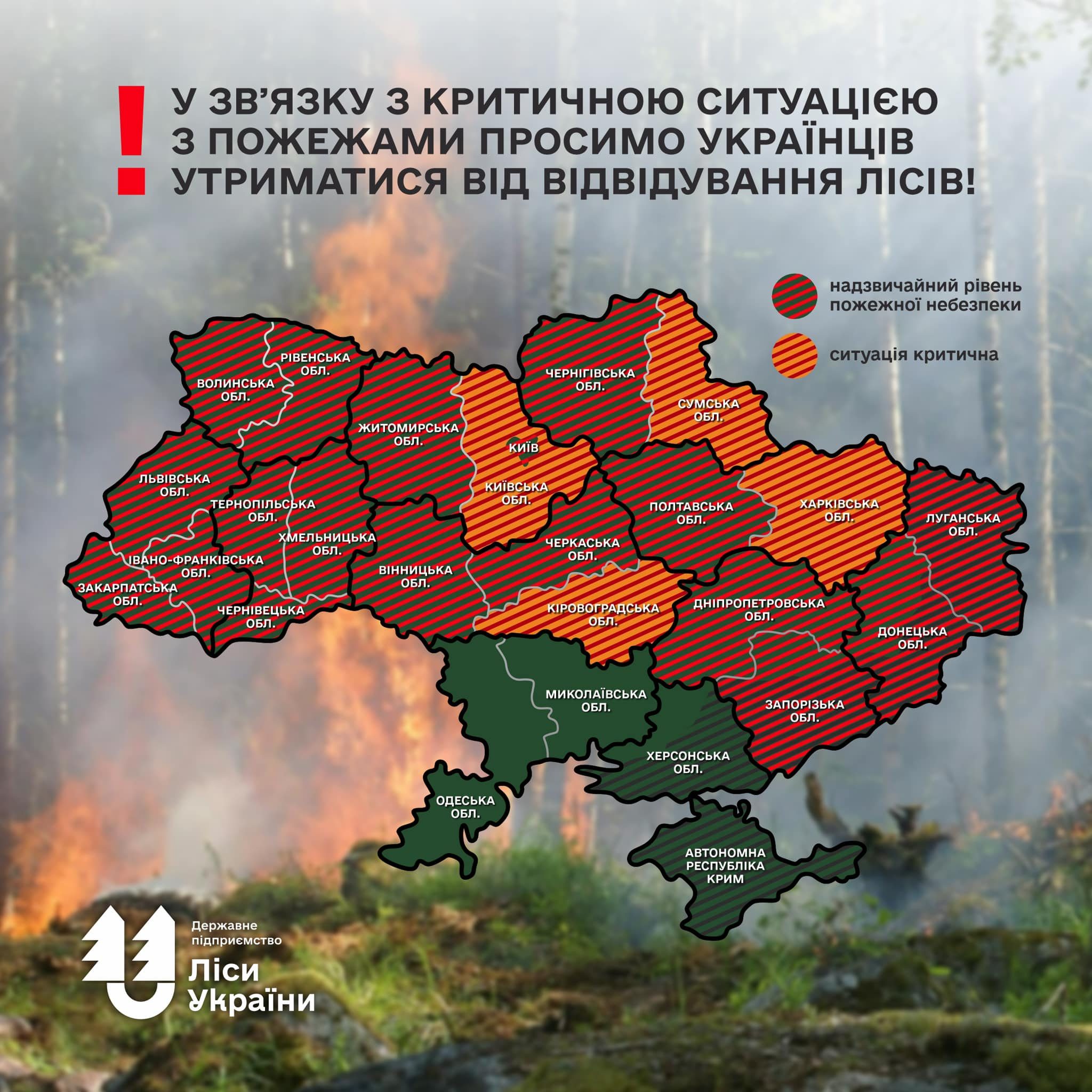 «Ситуация на Харьковщине критическая» — лесники о масштабных пожарах