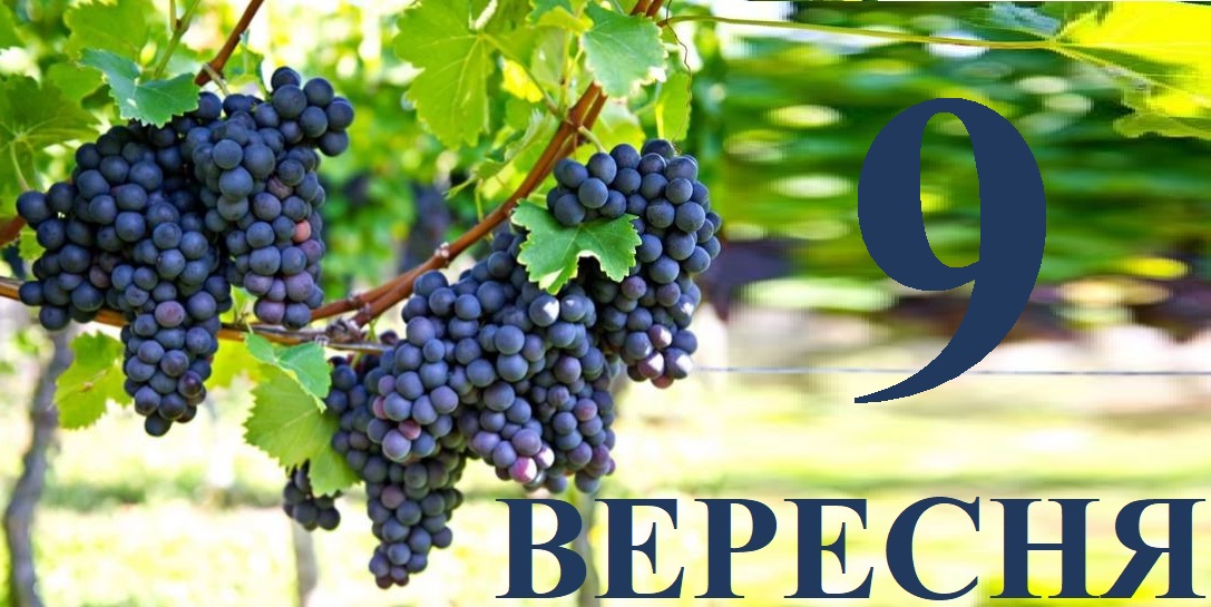 Сьогодні 9 вересня: яке свято та день в історії