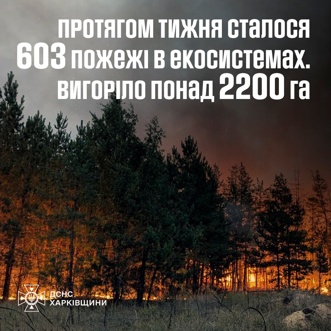 2200 га выгорело из-за пожаров на Харьковщине за неделю, пострадали 11 человек