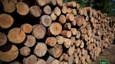 Дрова есть? Куда обращаться на Харьковщине, чтоб не переплачивать перекупщикам