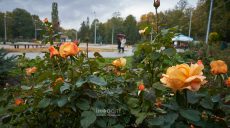 Когда в субботу на Харьковщине может быть дождь: прогноз погоды на 19 октября