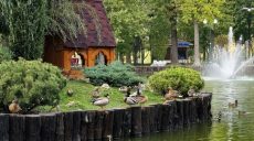 В Центральном парке Харькова лебеди отправились на зимовку
