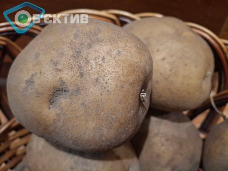 По какой цене будут покупать картошку этой осенью в Украине – мнения экспертов
