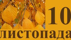 Сегодня 10 ноября: какой праздник и день в истории