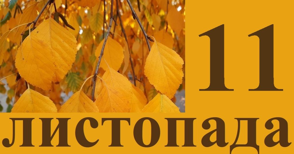 Сегодня 11 ноября: какой праздник и день в истории