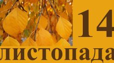 Сегодня 14 ноября: какой праздник и день в истории