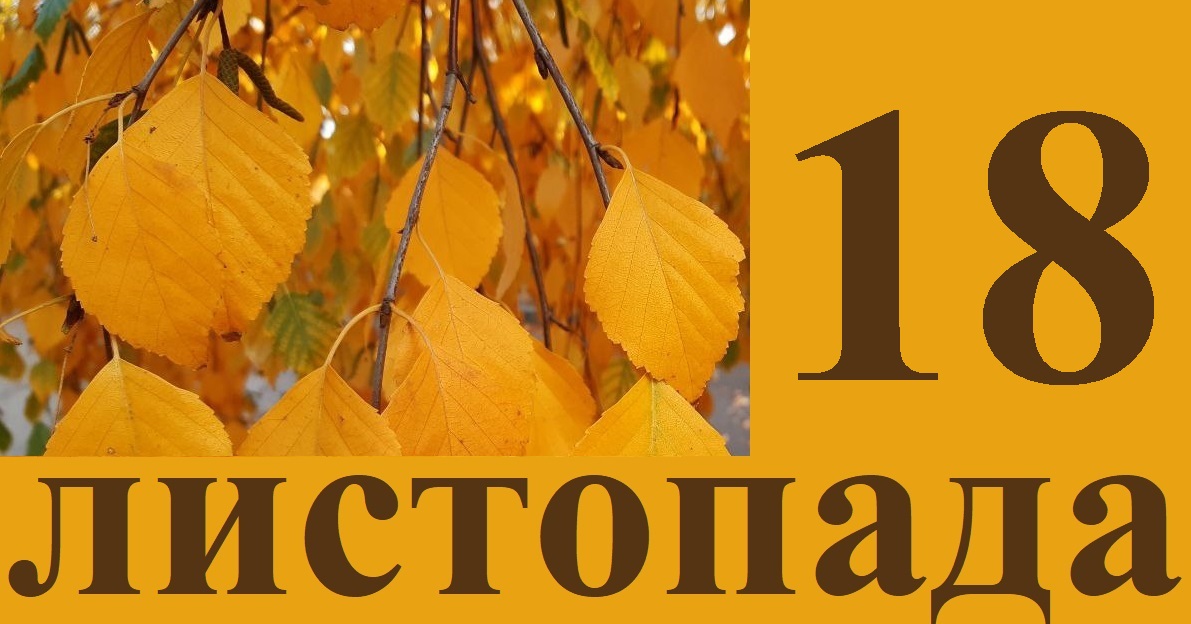 Сегодня 18 ноября: какой праздник и день в истории