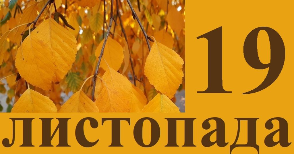 Сегодня 19 ноября: какой праздник и день в истории