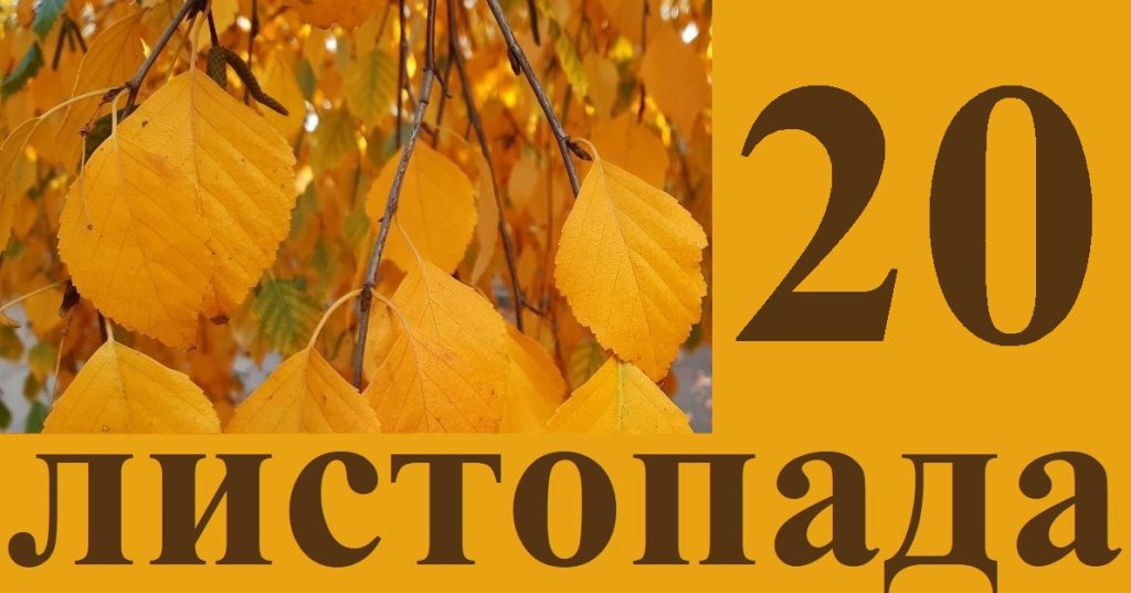 Сегодня 20 ноября: какой праздник и день в истории