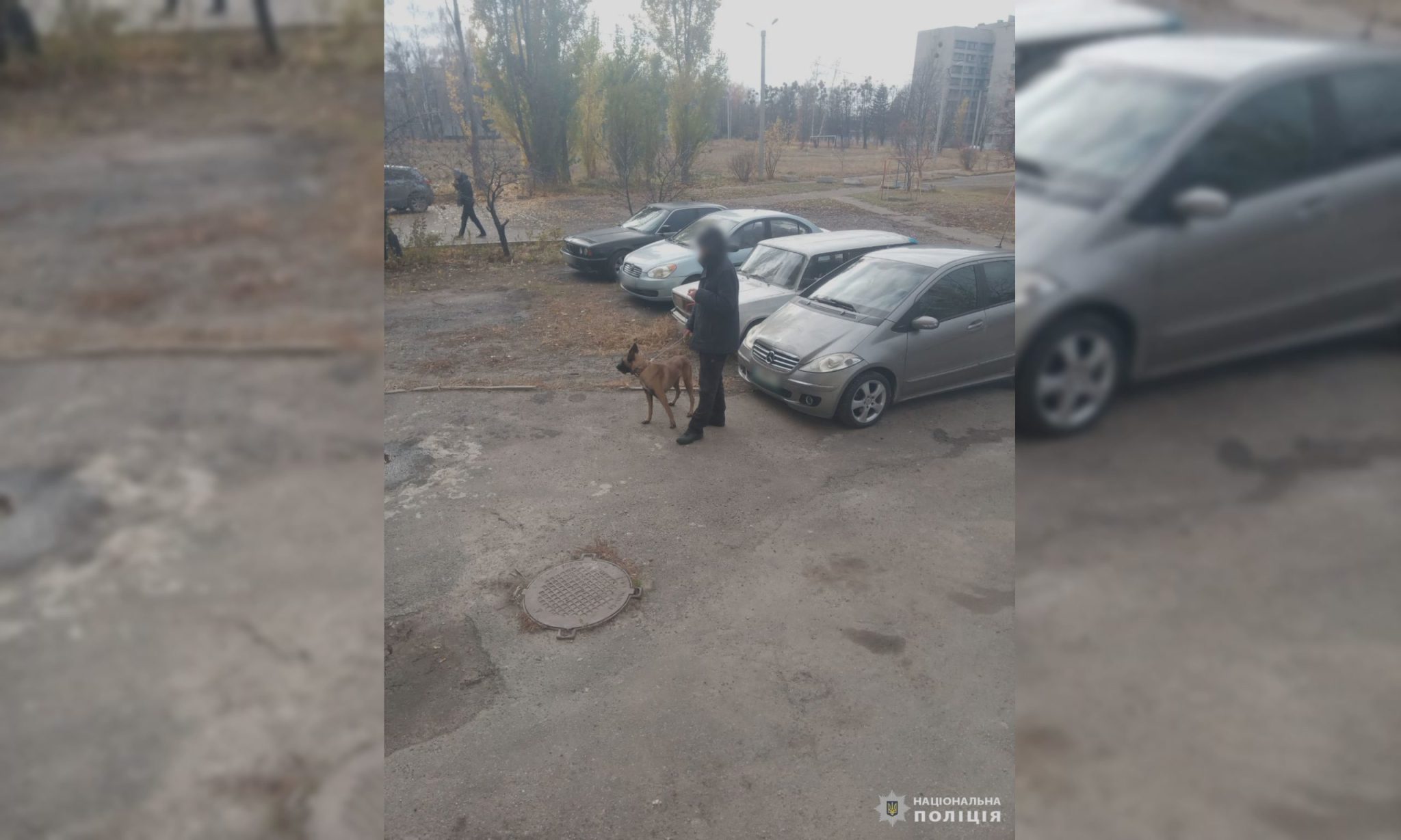 Навіщо і сам не зміг пояснити. Копи спіймали чоловіка, який ламав домофони