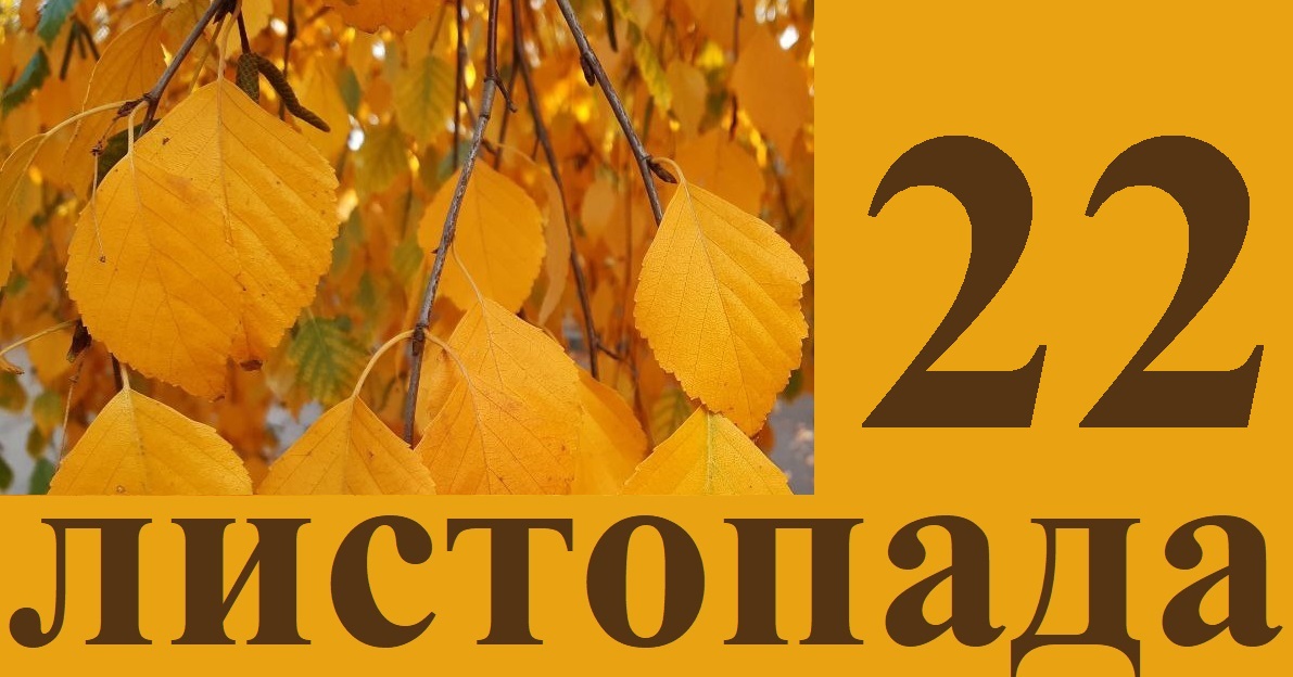 Сегодня 22 ноября: какой праздник и день в истории