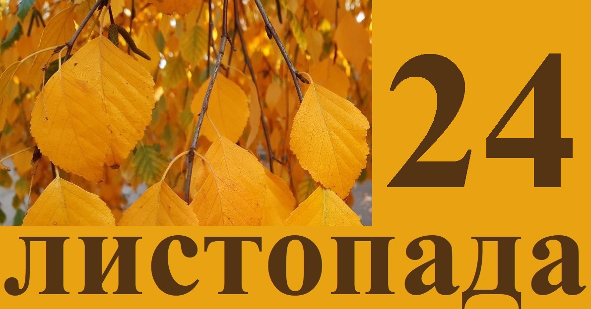 Сегодня 24 ноября: какой праздник и день в истории