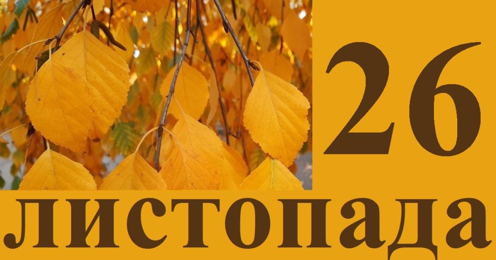 Сегодня 26 ноября: какой праздник и день в истории