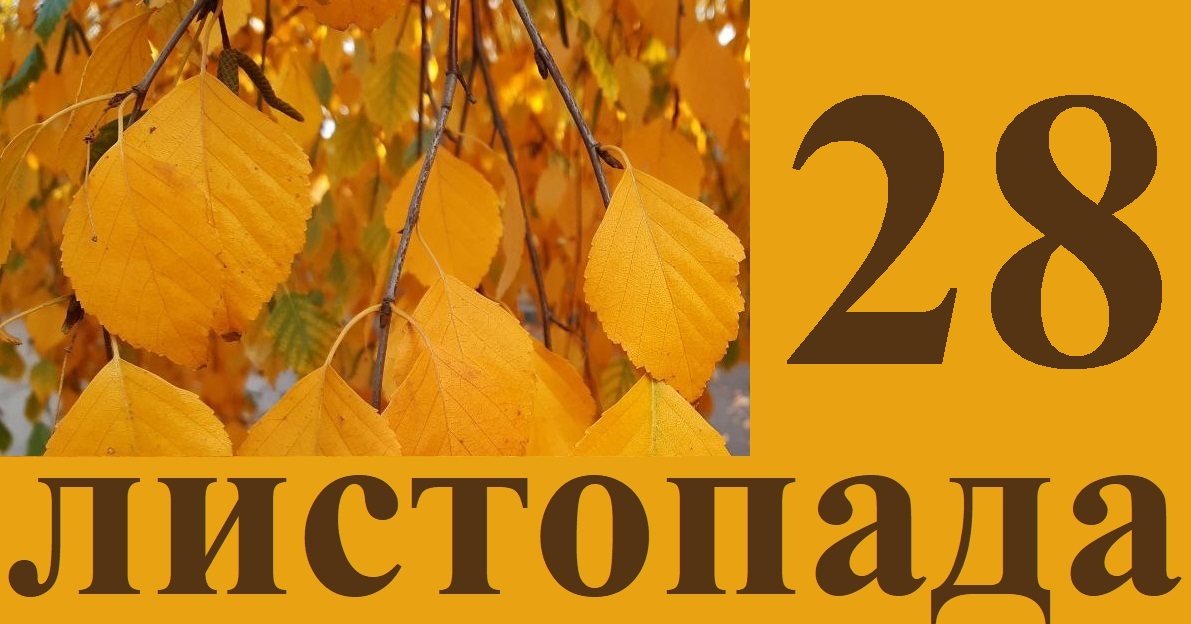 Сьогодні 28 листопада: яке свято та день в історії
