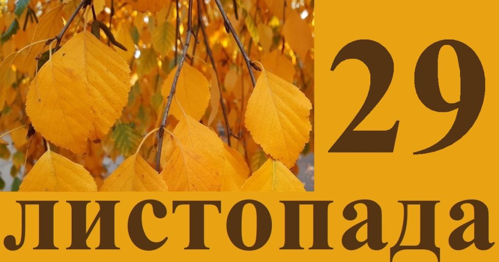 Сегодня 29 ноября: какой праздник и день в истории