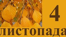 Сегодня 4 ноября: какой праздник и день в истории