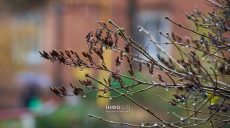 Новости Харькова – главное за 24.11: пожар в многоэтажке, ДТП на окружной