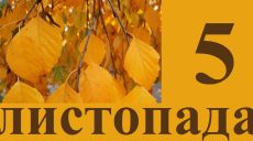 Сегодня 5 ноября: какой праздник и день в истории