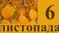 Сегодня 6 ноября: какой праздник и день в истории