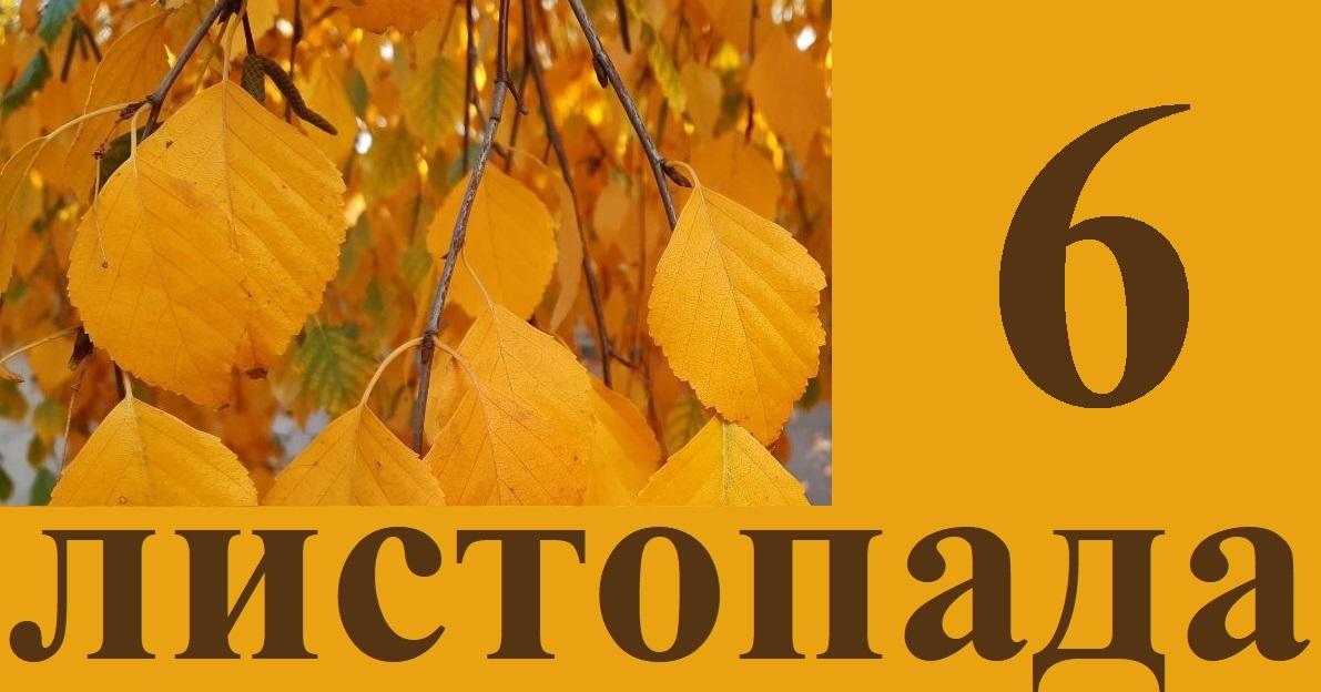 Сьогодні 6 листопада: яке свято та день в історії
