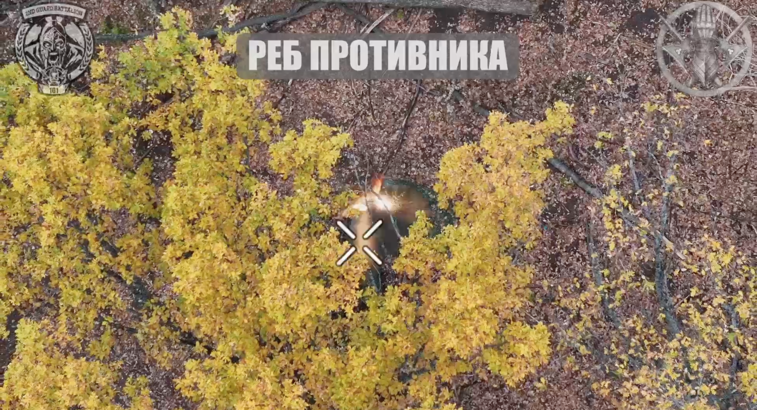 Знищують РЕБи та живу силу ворога. Робота ЗСУ біля Стариці (відео)