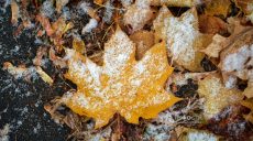 Різко похолодає, дощ зі снігом: погода в Харкові та області на 19 листопада