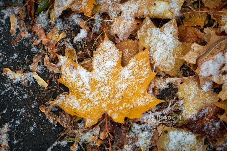 Резко похолодает, дождь со снегом: погода в Харькове и области на 19 ноября