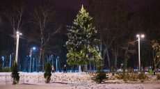 Погода в Харькове и области на 11 января: тепло, но может быть мокрый снег