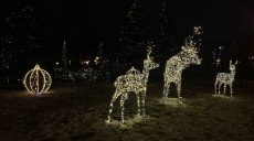 Новости Харькова — главное за 14.12: спасение лебедя и косули, продвижение РФ