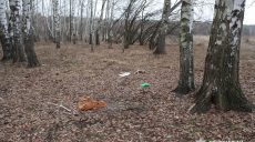 Семейная драма на Харьковщине: зачем мужчина закопал своего кума