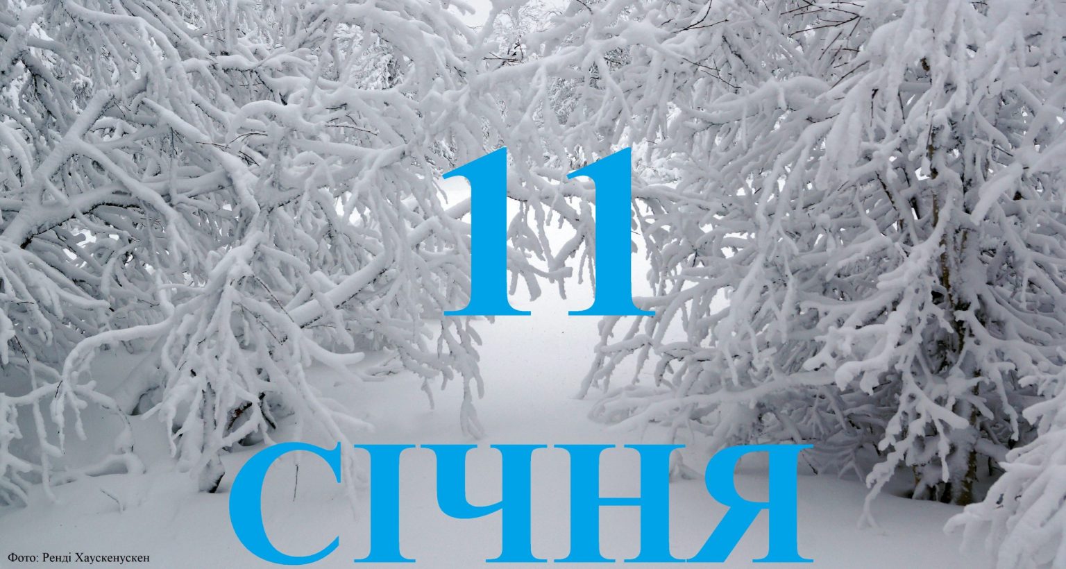 Сегодня 11 января: какой праздник и день в истории