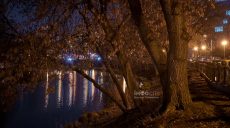 Новости Харькова — главное за 16 января: по городу ударил БпЛА, пострадавшие