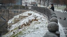 Новости Харькова — главное за 6 февраля: «Шахеды» и «Молнии» атаковали город