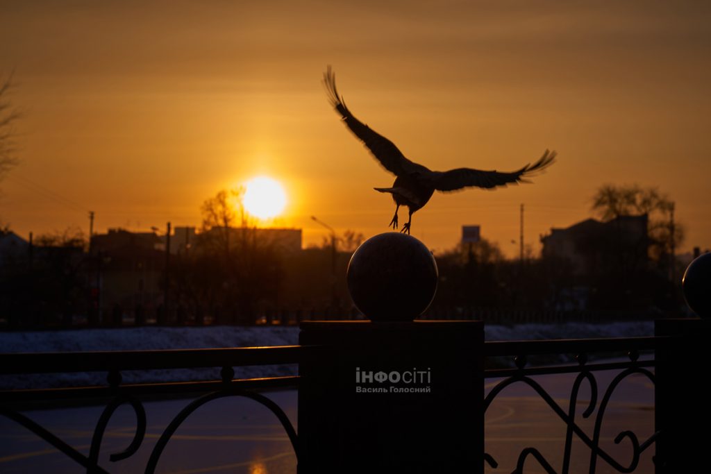 Новости Харькова — главное за 13.02: горе-мать, планы мэра, изменится погода
