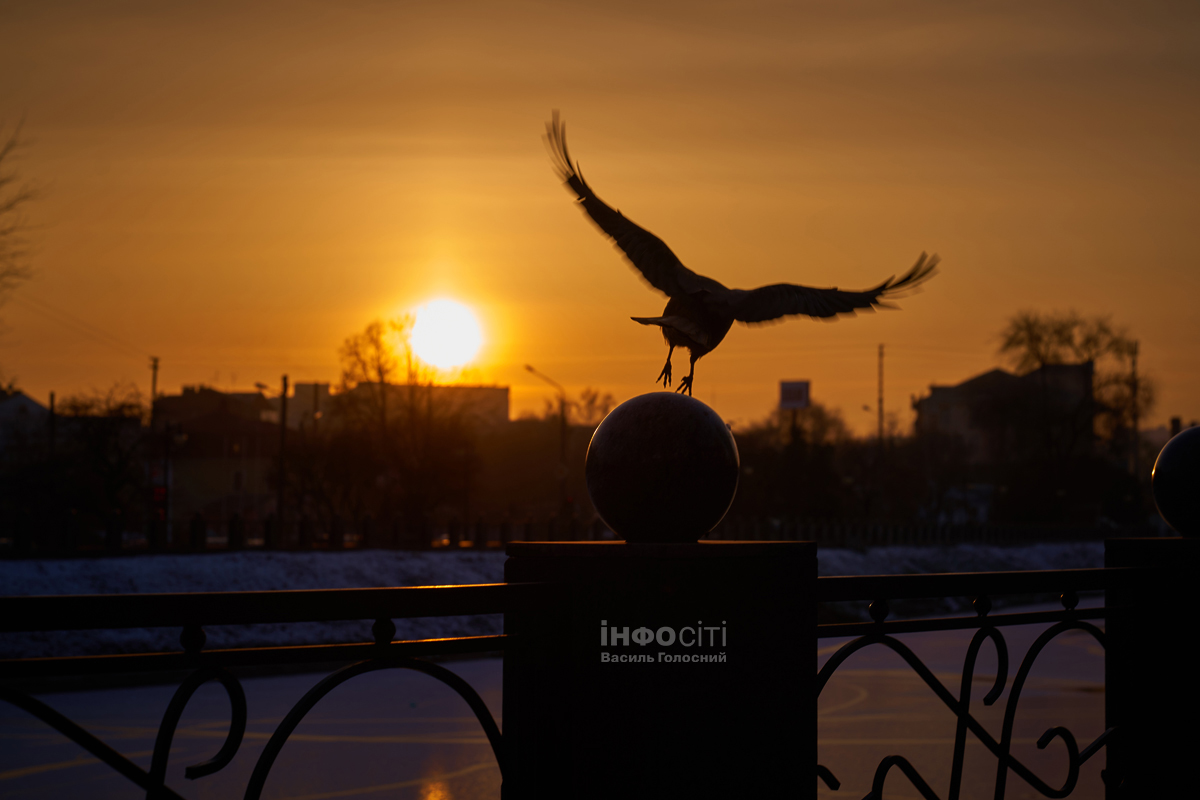 Новости Харькова — главное за 13.02: горе-мать, планы мэра, изменится погода