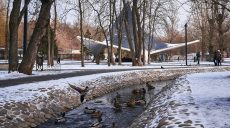 Прогноз погоды на 11 февраля в Харькове и области: ночью до 13°С мороза