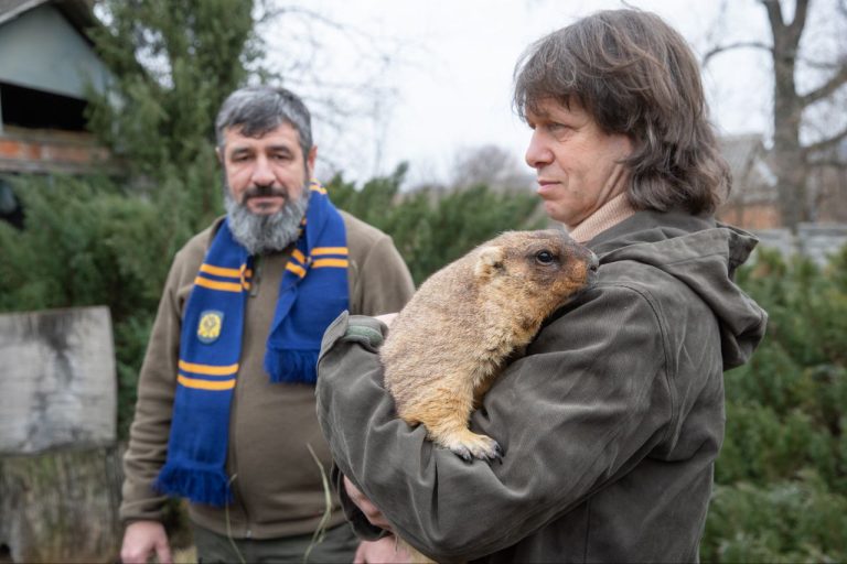 Харьковский сурок Тимка, предрекающий весну, ушел в онлайн — причина