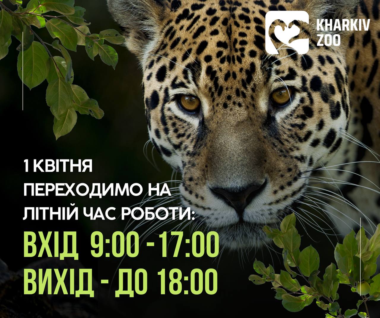 Харківський зоопарк змінює години роботи – коли можна буде погуляти