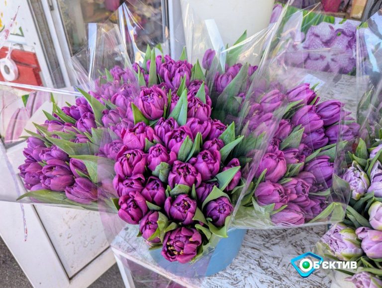 Сколько стоят цветы в Харькове накануне 8 марта – анализ цен от горсовета