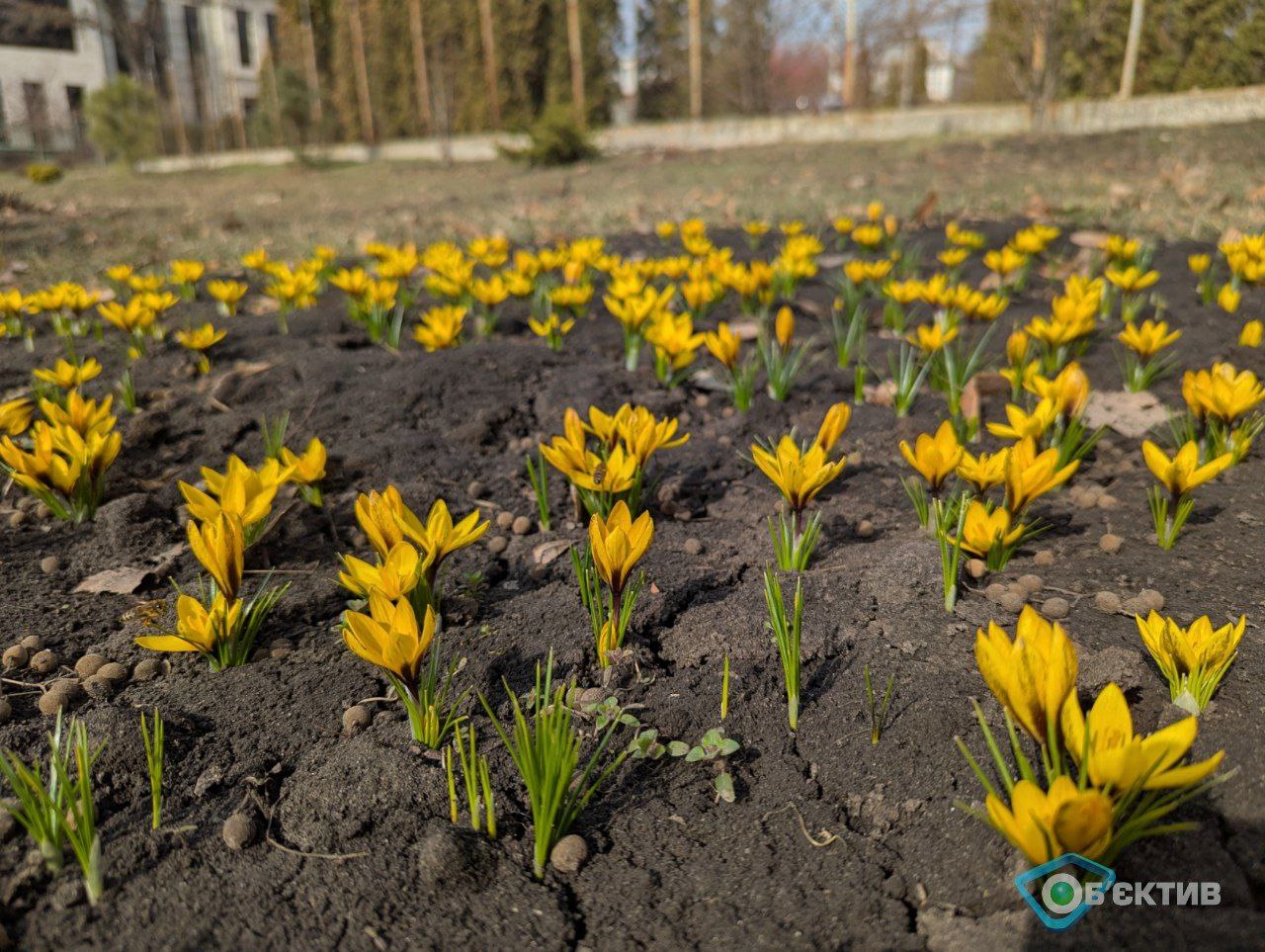 Морози відступають: якою буде погода на Великдень, повідомила синоптикиня