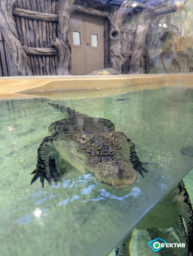 Бесплатные экскурсии, лекции и квесты предлагает Харьковский зоопарк