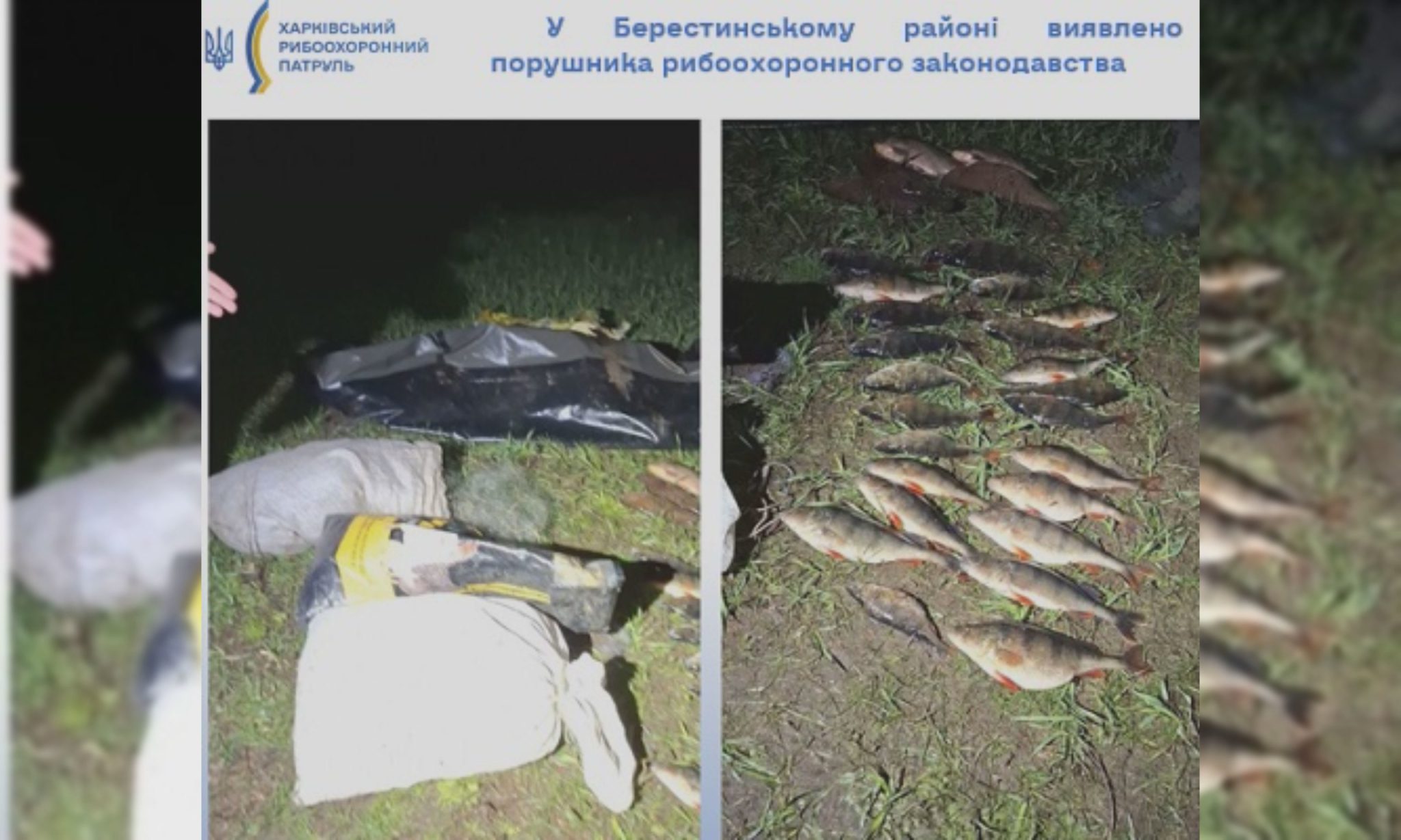 Погубил рыбы на 80 тыс. грн: у мужчины на Харьковщине забрали лодку и сетки
