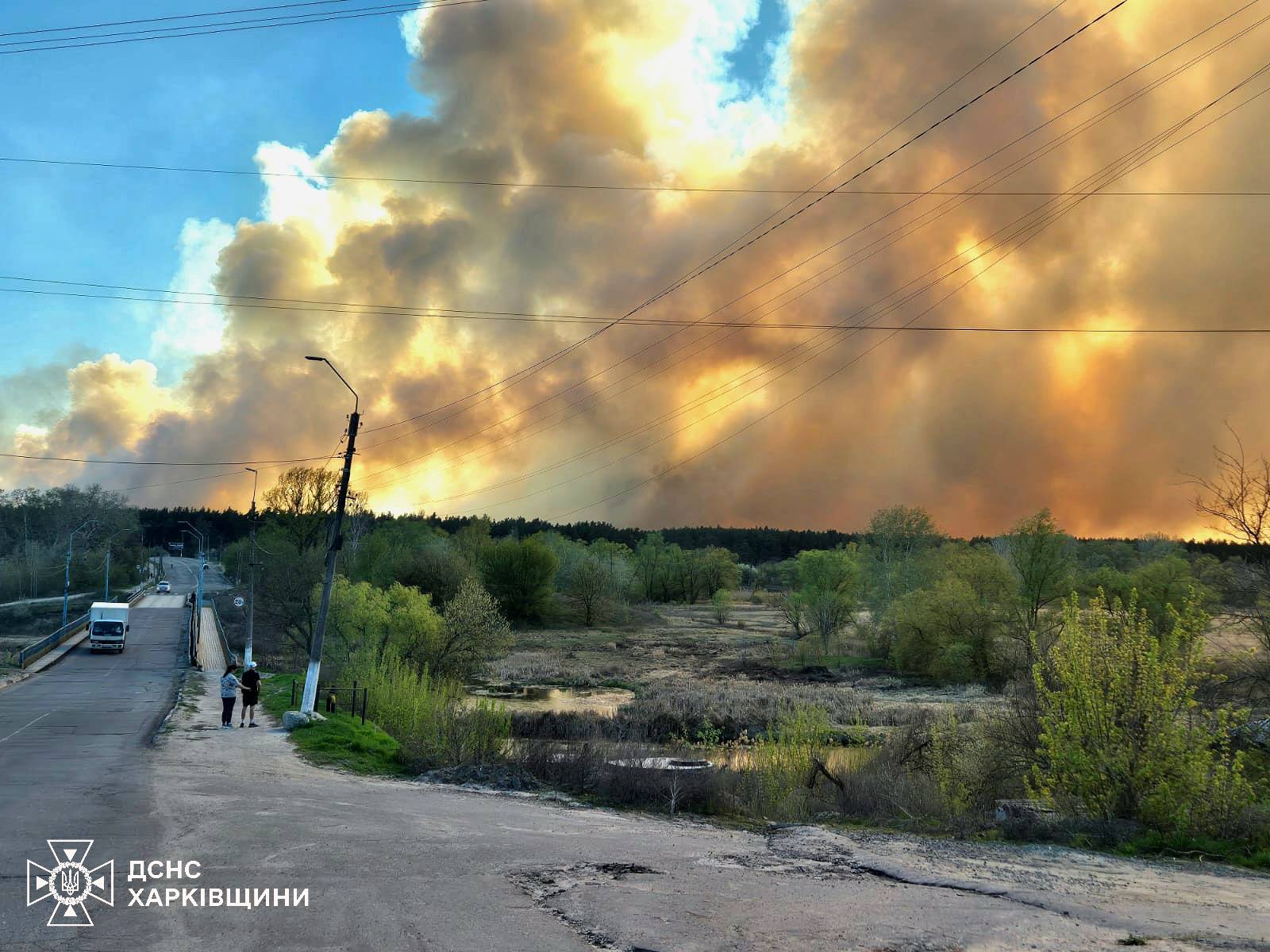 Пожар в лесу под Балаклеей распространился уже на 60 га