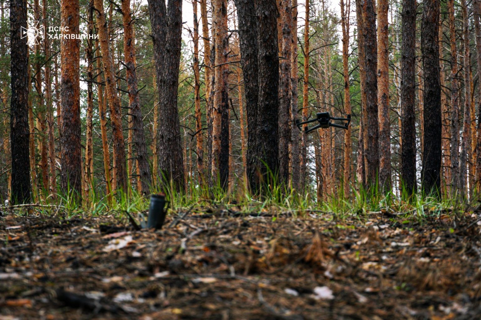 В Изюмском районе сегодня будут разминировать территории – ХОВА