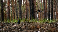 В Изюмском районе сегодня будут разминировать территории – ХОВА