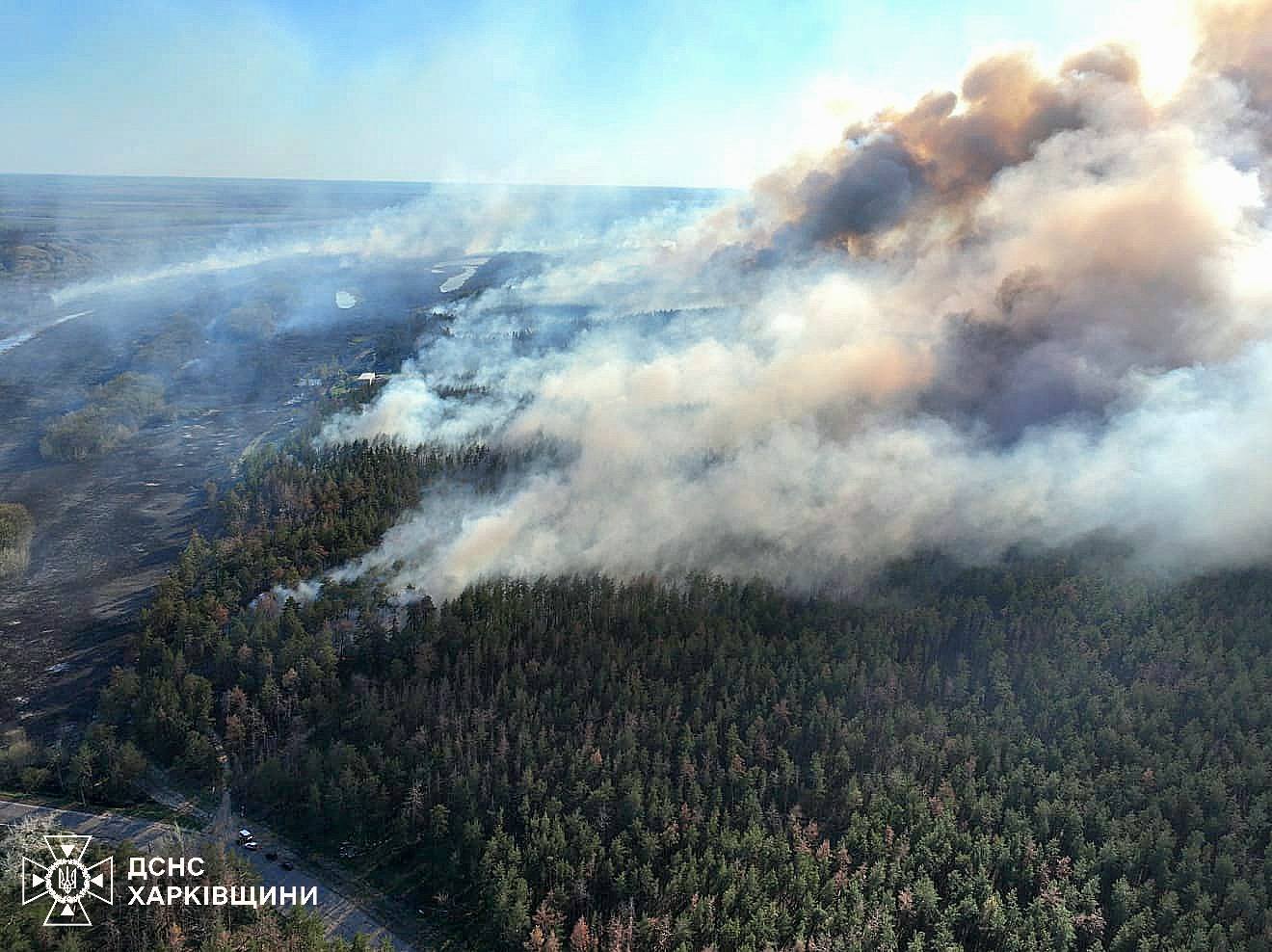 Масштабна пожежа вирує в лісі поблизу Балаклії на Харківщині (фото)