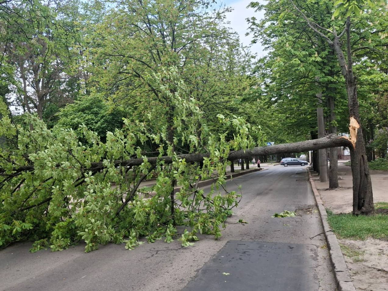 Що накоїв буревій у Харкові, показали комунальники (фото)