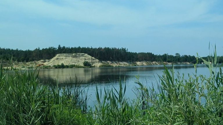 Чи будуть рубати ліс заради видобутку піску на Основі: позиція Терехова 📹