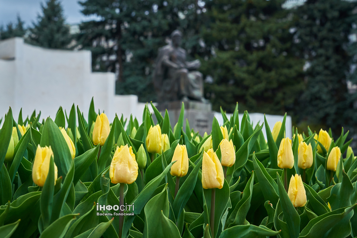 Прогноз погоди на 12 квітня у Харкові та області: прогріється до 14 тепла