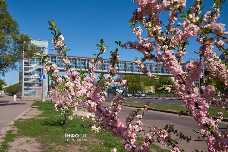 Прогноз погоди на 22 квітня у Харкові та області: вдень тепло, як влітку